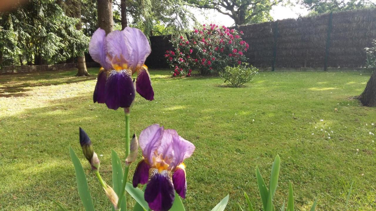 Maison Avec Jardin Arbore Villa Guérande Dış mekan fotoğraf